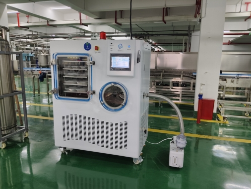 LGJ-S100标准型冻干机 LGJ-S100标准型冻干机