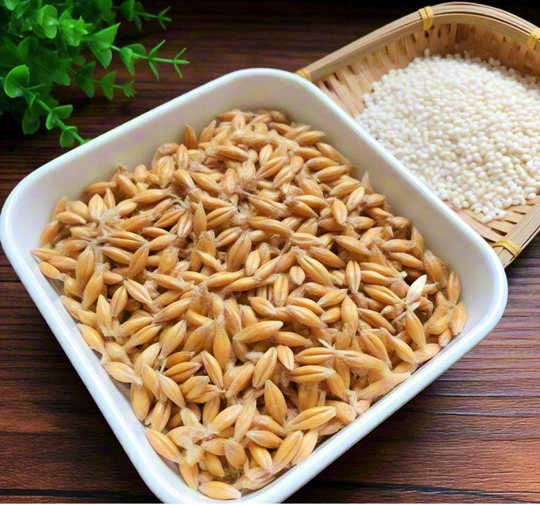 粮食发酵菌冻干机 粮食发酵菌冻干机